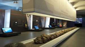 Εκδηλώσεις στο Μουσείο Φυσικής Ιστορίας Απολιθωμένου Δάσους στις 18 Απριλίου