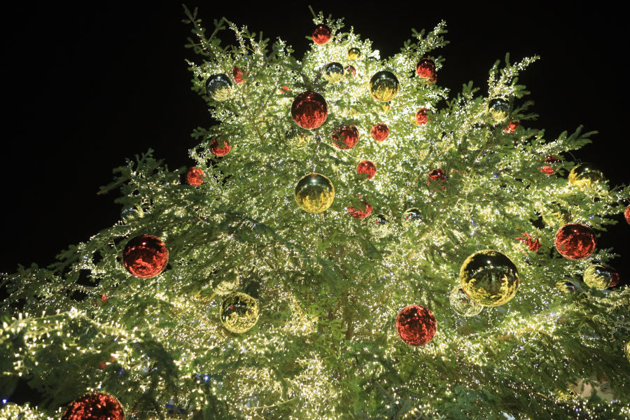 Πότε στολίστηκε το πρώτο Χριστουγεννιάτικο δέντρο στην Αθήνα