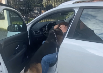 Θεσσαλονίκη: Σκύλος βρίσκει τον κηδεμόνα του μετά από 5 χρόνια και τρέχει στην αγκαλιά του -Συγκινητικό βίντεο