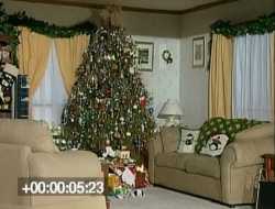 Τι μπορεί να σου κάνει ένα Χριστουγεννιάτικο Δέντρο μέσα σε λίγα μόλις δευτερόλεπτα