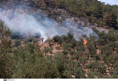 Ανυπολόγιστη καταστροφή από τις φωτιές σε Δαδιά και Λέσβο, πάνω 42.000 καμένα στρέμματα -Δορυφορικές εικόνες