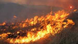 Μεγάλη πυρκαγιά σε εξέλιξη στην περιοχή του Ν. Μαρμαρά Χαλκιδικής