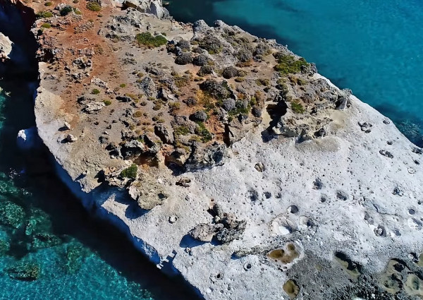 Το μοναδικό στην Ευρώπη απολιθωμένο φοινικόδασος βρίσκεται στην Ελλάδα