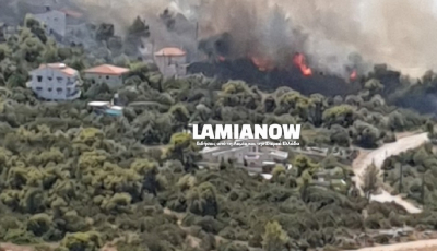 Μεγάλη φωτιά στο Θεολόγο, κύκλωσε σπίτια, δόθηκε εντολή εκκένωσης (βίντεο)