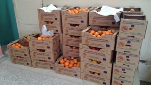 Δήμος Λέσβου: Δωρεάν διανομή φρούτων στους σεισμόπληκτους