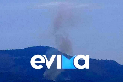 Νέα φωτιά στην Εύβοια: Καίγεται δάσος στον Μίστρο, συναγερμός στην Πυροσβεστική (βίντεο, εικόνες)