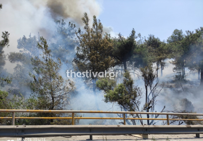 Θεσσαλονίκη: Φωτιά στο Σειχ Σου - Συνεχείς ρίψεις νερού από καναντέρ και ελικόπτερα (βίντεο)