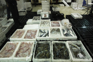 Κατασχέθηκαν 20 κιλά αλιεύματα στο Πέραμα