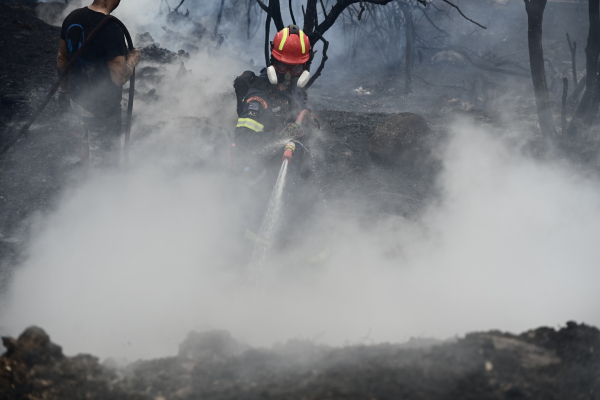 Σε εξέλιξη η φωτιά στην Ηλεία, ενισχύθηκαν οι δυνάμεις της πυροσβεστικής