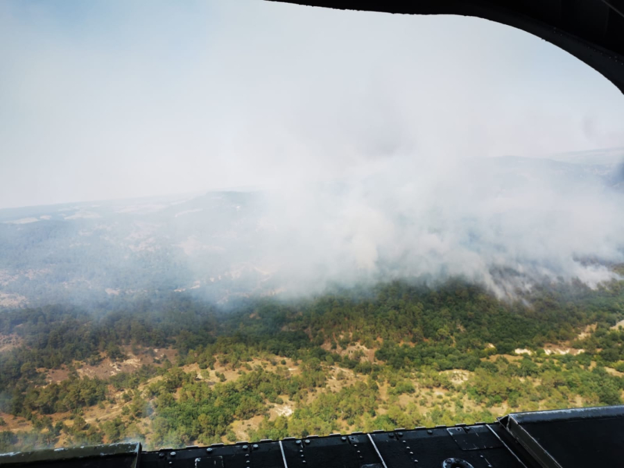 Φωτιά στον Έβρο: Πολλές και διάσπαρτες οι εστίες, πόσοι επιχειρούν στην κατάσβεση της πυρκαγιάς στη Δαδιά
