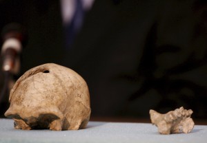 Homo erectus: Ο πρώτος άνθρωπος που μίλησε ήταν ναυτικός και έφθασε ως την Κρήτη