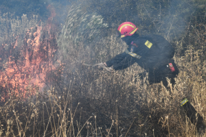 Φωτιά καίει δάσος σε δύσβατη περιοχή του Αγίου Όρους, μεγάλη δύναμη της Πυροσβεστικής στο σημείο