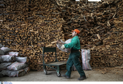 Είδος προς εξαφάνιση τα καυσόξυλα: «Όλος ο κόσμος θα μπει στα δάση να κόψει ξύλα»