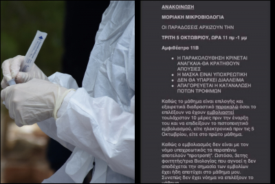 Καθηγητής Μοριακής Μικροβιολογίας: «Αν δεν έχετε εμβολιαστεί, μην έρθετε στο μάθημά μου», αποθέωση από τον Γεωργιάδη