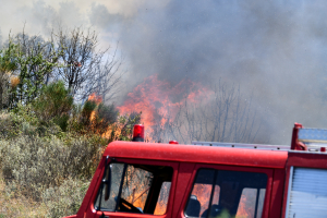 ΓΓΠΠ: Πολύ υψηλός κίνδυνος πυρκαγιάς αύριο - Οι περιοχές που είναι στο «πορτοκαλί»