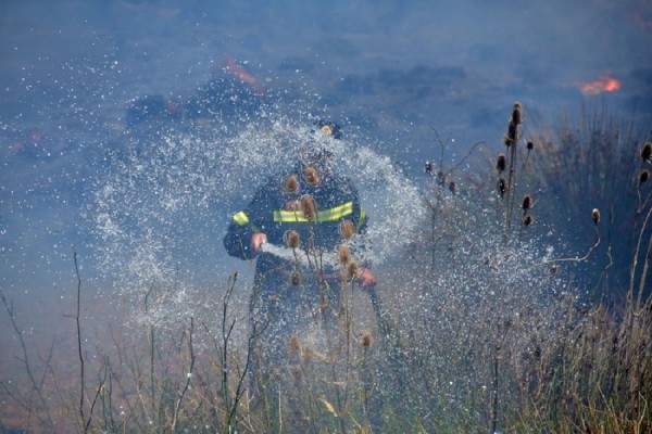 48 δασικές πυρκαγιές εκδηλώθηκαν σε όλη την Ελλάδα το τελευταίο 24ωρο