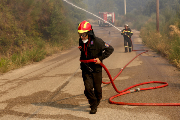 Λέσβος: Στάχτη έγιναν 100 στρέμματα στη Σίντα Μεγαλοχωρίου - Υπό πλήρη έλεγχο η δασική πυρκαγιά