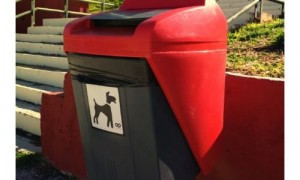 Ο Δήμος Βύρωνα τοποθέτησε ειδικούς κάδους για σκύλους