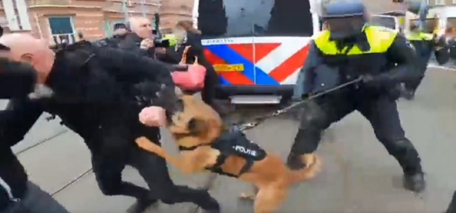 Αστυνομικός σκύλος επιτίθεται σε διαδηλωτή στην Ολλανδία και τον κατασπαράζει (βίντεο)