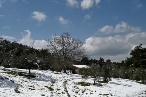 Meteo: Αυξήθηκε σημαντικά η χιονοκάλυψη στα βουνά, καλά... νέα για τους λάτρεις των χειμερινών σπορ