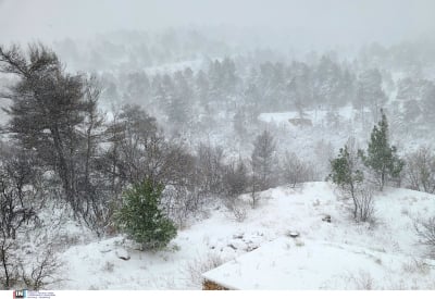 Meteo: Μειώθηκε στο μισό η χιονοκάλυψη κατά τον φετινό χειμώνα