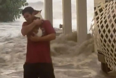 ΗΠΑ: Ο «ήρωας της ημέρας» - Άνδρας σώζει γατάκι από τον τυφώνα Ίαν (βίντεο + εικόνα)