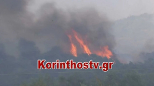 Κορινθία: Φωτιά από κεραυνό στο Χαλκί - Άμεση κινητοποίηση της Πυροσβεστικής