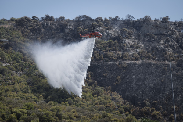 Πενήντα τρεις δασικές πυρκαγιές εκδηλώθηκαν το τελευταίο 24ωρο σε όλη την Ελλάδα
