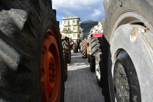 Σε κινητοποιήσεις προχωρούν οι κτηνοτρόφοι στη Θεσσαλονίκη
