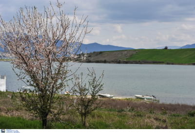 Κοζάνη: Θρίλερ με πτώμα που βρέθηκε στη λίμνη Πολυφύτου