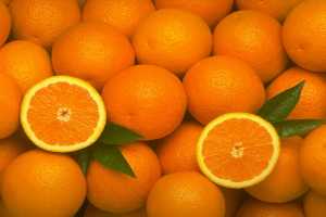Δωρεάν διανομή πορτοκαλιών στο Δήμο Πεντέλης