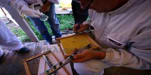 Σεμινάριο μελισσοκομίας στο Ηράκλειο από το Κέντρο Δήμητρα