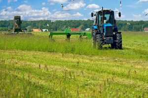 Σε δημόσια διαβούλευση το νομοσχέδιο για την απαγόρευση των μεταλλαγμένων καλλιεργειών