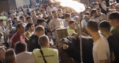 Φριχτά βασανιστήρια σε ταύρο σε φεστιβάλ στη Βαλένθια: «Γροθιά στο στομάχι» οι εικόνες (βίντεο)