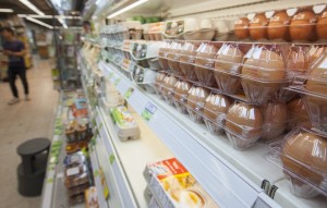 Μολυσμένα αυγά με Fipronil από την Βουλγαρία στην ελληνική αγορά