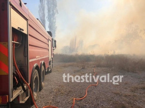 Θεσσαλονίκη: Προσήχθη ένας άνδρας για την φωτιά στους Ελαιώνες Πυλαίας
