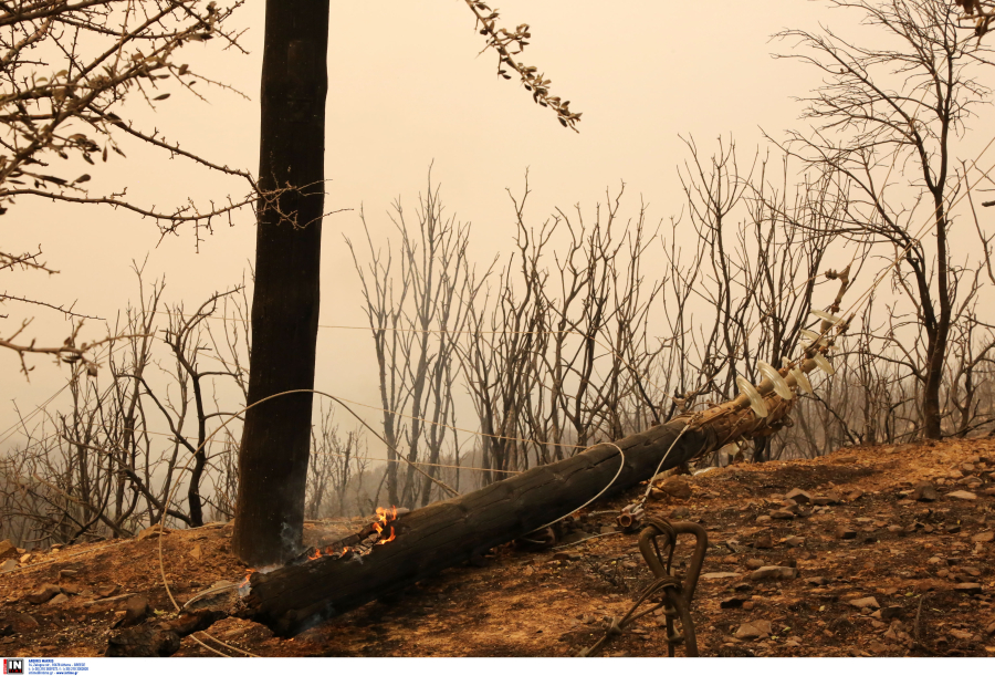 Φωτιά στην Εύβοια: Καλύτερη η κατάσταση -Ο κίνδυνος είναι οι αναζωπυρώσεις