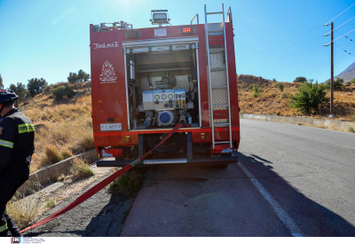 Νέα φωτιά στην Εύβοια, επί τόπου ισχυρές δυνάμεις της πυροσβεστικής