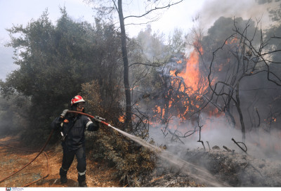 Σάκης Αρναούτογλου: Μεγάλος κίνδυνος για φωτιά τις επόμενες ώρες