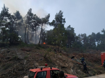 Φωτιά στον Έβρο: Μάχη με τις φλόγες και τις αναζωπυρώσεις, προσπάθεια για να σωθεί το δάσος της Δαδιάς