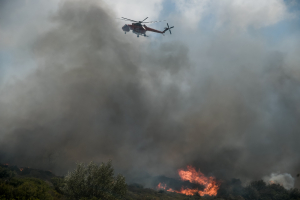 Φωτιές σε Εύβοια και Ναυπακτία, «έχει φτάσει στην είσοδο του χωριού» (βίντεο)