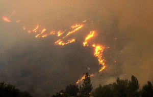 Φωτιά στην Εύβοια: Ξεκίνησε η καταγραφή ζημιών