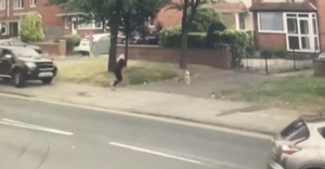 Βρετανία: Σκυλίτσα σώζει στο παρά πέντε το αφεντικό της από την «τρελή» πορεία ΙΧ (βίντεο)