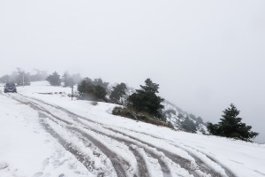 Πυκνό χιόνι στην Κοζάνη - Κλειστά τα σχολεία (vid)