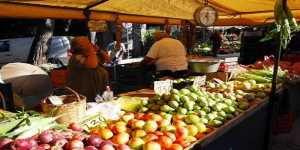 Δήμος Παλλήνης: Πρόσκληση προς Παραγωγούς Αγροτικών Προϊόντων