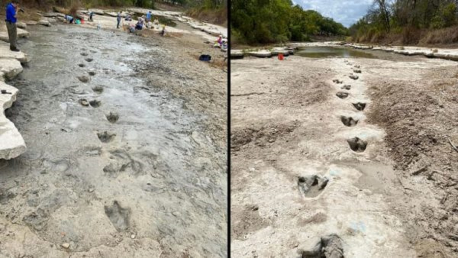 Μοναδικό εύρημα: Η ξηρασία αποκάλυψε ίχνη δεινοσαύρων ηλικίας 113 εκατ. ετών (εικόνες)