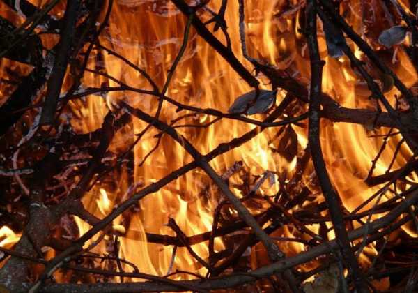 Ενημέρωση για τα μέτρα πρόληψης πυρκαγιών ζήτησε η Δούρου