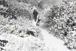 Ρέθυμνο: Δήλωση ζημιών στον ΕΛΓΑ από τον χιονιά