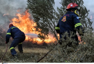 Φωτιές: Έτσι θα δοθεί το επίδομα των 718,65 ευρώ από τον ΟΑΕΔ στους πυρόπληκτους εργαζόμενους