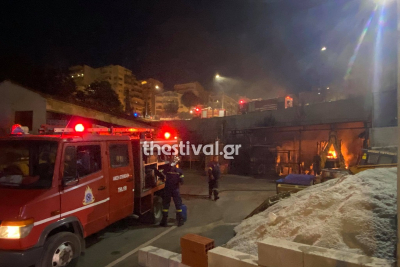 Στις φλόγες οχήματα στη Νεάπολη Θεσσαλονίκης – 15 πυροσβέστες χρειάστηκαν για να σβήσει η φωτιά (βίντεο)